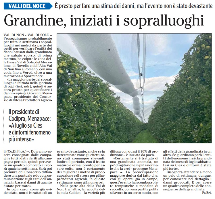 Dalla stampa: "Grandine, iniziati i sopralluoghi"