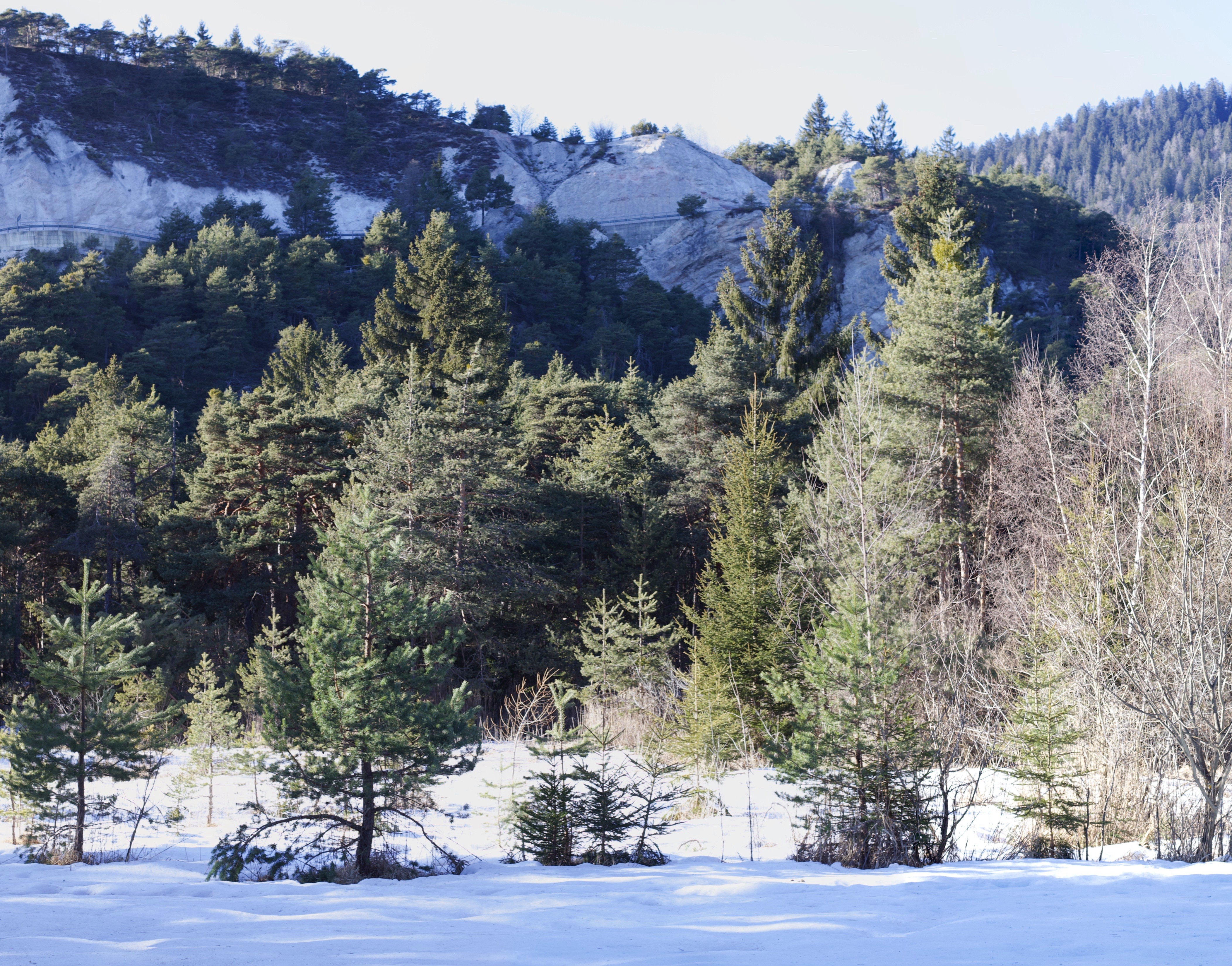 Dalla stampa: "In montagna non nevica e l'acqua scarseggia, il punto sulle risorse idriche trentine".