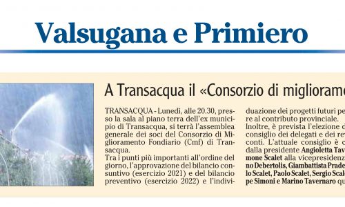 Dalla stampa: 