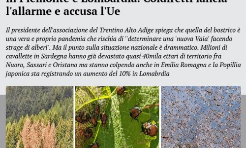 Dal web: "Cavallette in Sardegna, bostrico e zecche in Trentino Alto Adige, il coleottero giapponese in Piemonte e Lombardia."