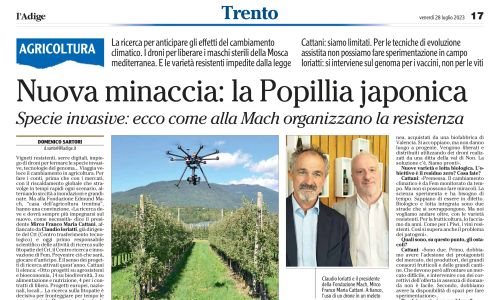 Dalla stampa: "Nuova minaccia: la Popillia japonica"