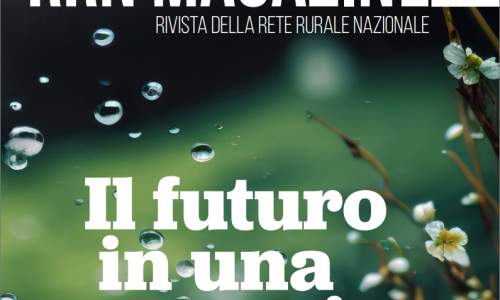 RRN Magazine: "Il futuro in una goccia"